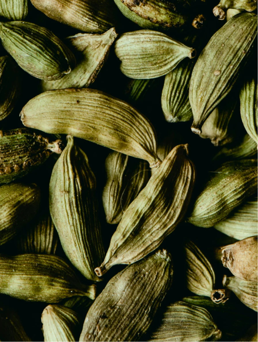 Gel de Ducha Botánico